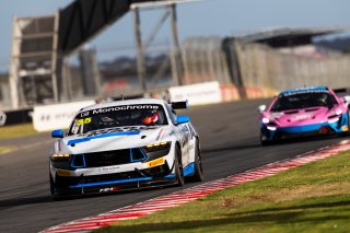 #35 - Miedecke Motorsport/Lubrimaxx - George Miedecke - Rylan Gray - Ford Mustang GT4 l © Race Project l Daniel Kalisz l GT4 Australia | GT4 Australia