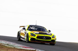 #101 - Game Over - Tony Quinn - Jackson Rooney - Mercedes-AMG GT4 l © Race Project l Daniel Kalisz l GT4 Australia | GT4 Australia