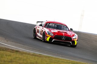 #17 - Love Racing - Bailey Love - Sam Brabham - Mercedes-AMG GT4 l © Race Project l Daniel Kalisz l GT4 Australia | GT4 Australia