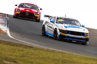 #35 - Miedecke Motorsport/Lubrimaxx - George Miedecke - Rylan Gray - Ford Mustang GT4 l © Race Project l Daniel Kalisz l GT4 Australia | GT4 Australia