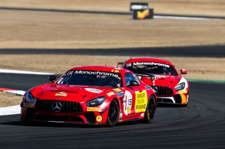 #19 - Team Nineteen - Mark Griffith - Nash Morris - Mercedes-AMG GT4 l © Race Project l Daniel Kalisz l GT4 Australia | GT4 Australia