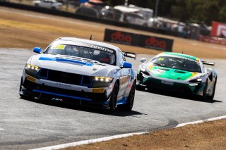 #35 - Miedecke Motorsport/Lubrimaxx - George Miedecke - Rylan Gray - Ford Mustang GT4 l © Race Project l Daniel Kalisz l GT4 Australia | GT4 Australia