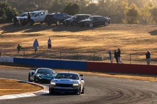 #35 - Miedecke Motorsport/Lubrimaxx - George Miedecke - Ford Mustang GT4 l © Race Project l Daniel Kalisz l GT4 Australia | GT4 Australia