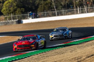 #19 - Team Nineteen - Mark Griffith - Nash Morris - Mercedes-AMG GT3 l © Race Project l Daniel Kalisz l GT4 Australia | GT4 Australia