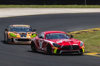 #17 - Love Racing by Volante Rosso Motorsport - Bailey Love - Rob Love - Mercedes-AMG GT4 l © Race Project l Daniel Kalisz | GT4 Australia