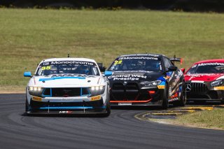 #35 - Miedecke Motorsport/Lubrimaxx - George Miedecke - Rylan Gray - Ford Mustang GT4 l © Race Project l Daniel Kalisz | GT4 Australia