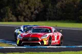 #17 - Love Racing - Bailey Love - Sam Brabham - Mercedes-AMG GT4 l © Race Project l Daniel Kalisz | GT4 Australia