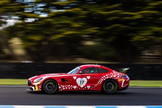 #17 - Love Racing - Bailey Love - Sam Brabham - Mercedes-AMG GT4 l © Race Project l Daniel Kalisz | GT4 Australia