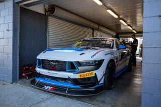 #35 - Miedecke Motorsport/Lubrimaxx - George Miedecke - Rylan Gray - Ford Mustang GT4 l © Race Project l Daniel Kalisz | GT4 Australia