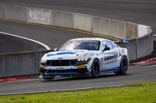 #35 &ndash; Miedecke Motorsport with Lubrimaxx &ndash; Andrew Miedecke / Rylan Gray / George Miedecke &ndash; Ford Mustang GT4  | &copy; Speed Shots Photography | Nathan Wong
