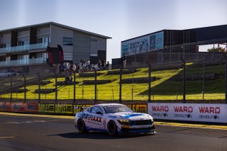 #35 &ndash; Miedecke Motorsport with Lubrimaxx &ndash; Andrew Miedecke / Rylan Gray / George Miedecke &ndash; Ford Mustang GT4  | | &copy; Speed Shots Photography | Nathan Wong