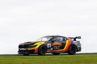 #118 - DA Campbell Transport - Cameron Crick - Dean Campbell - Ford Mustang GT4 l © Race Project l Daniel Kalisz | GT4 Australia
