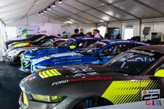 #62 - Wallis Motorsport - Jack Wallis - Jed Wallis - Ford Mustang GT4 l © Race Project l Daniel Kalisz | GT4 Australia