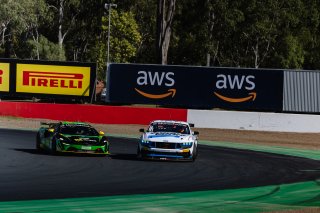#100 - Miedecke Motorsport with Lubrimax - George Miedecke - Rylan Gray - Ford Mustang GT4 l © Race Project l Daniel Kalisz | GT4 Australia