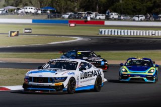 #100 - Miedecke Motorsport with Lubrimax - George Miedecke - Rylan Gray - Ford Mustang GT4 l © Race Project l Daniel Kalisz | GT4 Australia