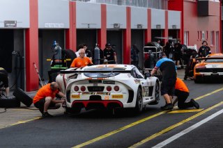 #29 – Ginetta Australia – Lachlan Mineeff – Rob Rubis – Ginetta G56 GT4 | © Race Project | Daniel Kalisz |  © Race Project | Daniel Kalis