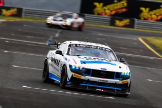 #35 – Miedecke Motorsport with Lubrimaxx – Andrew Miedecke / Rylan Gray / George Miedecke – Ford Mustang GT4 | © Race Project | Daniel Kalisz | Daniel Kalisz