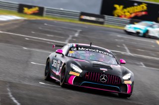 #87 – JGI Triple Eight Racing – Jarrod Hughes / Summer Rintoule – Mercedes-AMG GT4 | © Race Project | Daniel Kalisz | Daniel Kalisz