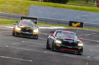 #36 – Gomersall Motorsport – Jake Camilleri – Ford Mustang GT4 | © Race Project | Daniel Kalisz | Daniel Kalisz
