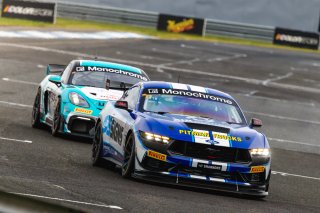 #71 – Gomersall Motorsport – Jason Gomersall / Aaron Seton – Ford Mustang GT4 | © Race Project | Daniel Kalisz | Daniel Kalisz