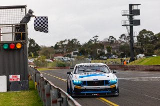 #35 – Miedecke Motorsport with Lubrimaxx – Andrew Miedecke / Rylan Gray / George Miedecke – Ford Mustang GT4 | © Race Project | Daniel Kalisz | Daniel Kalisz