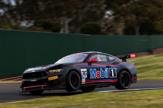 #36 – Gomersall Motorsport – Jake Camilleri – Ford Mustang GT4 | © Race Project | Daniel Kalisz | Daniel Kalisz