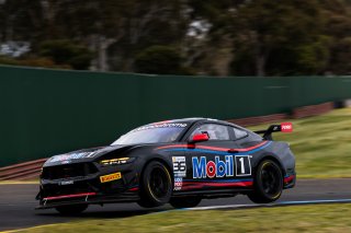 #36 – Gomersall Motorsport – Jake Camilleri – Ford Mustang GT4 | © Race Project | Daniel Kalisz | Daniel Kalisz