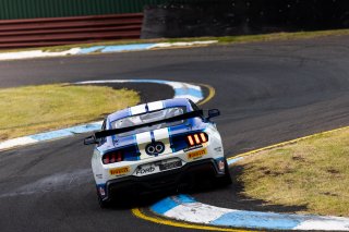 #71 – Gomersall Motorsport – Jason Gomersall / Aaron Seton – Ford Mustang GT4 | © Race Project | Daniel Kalisz | Daniel Kalisz