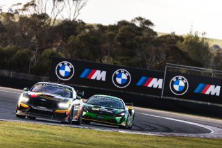 #118 – DA Campbell Transport – Dean Campbell / Cameron Crick – Ford Mustang GT4 | © Race Project | Daniel Kalisz | Daniel Kalisz