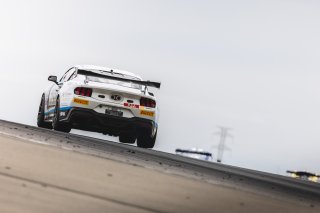 #21 – 99motorsport / Hansa Equipment – Marcus LaDelle / Jarrod Keyte – Ford Mustang GT4 | © Race Project | Daniel Kalisz | Daniel Kalisz