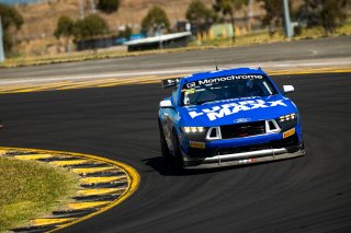 #35 - Miedecke Motorsport with Lubrimaxx - Blake Tracey - George Miedecke - Ford Mustang GT4 l &copy; Jack Martin Photography | &copy; Jack Martin Photography