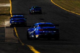 #95 - Miedecke Motorsport with Lubrimaxx - Blake Dowdall - Cooper Cutts - Ford Mustang GT4 l &copy; Jack Martin Photography | &copy; Jack Martin Photography