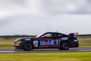 #36 - Gomersall Motorsport - Jake Camilleri - Ford Mustang GT4 l &copy; Jack Martin Photography | Jack Martin Photography