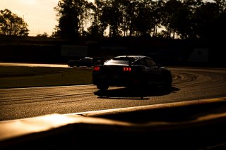 #35 - Miedecke Motorsport with Lubrimaxx - Blake Tracey - George Miedecke - Ford Mustang GT4 l &copy; Jack Martin Photography | &copy; Jack Martin Photography