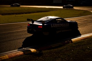 #35 - Miedecke Motorsport with Lubrimaxx - Blake Tracey - George Miedecke - Ford Mustang GT4 l &copy; Jack Martin Photography | &copy; Jack Martin Photography