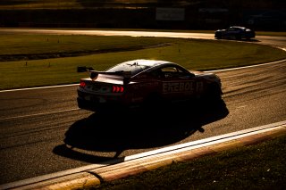 #21 - Ekebol MPC - Jarrod Keyte - Ford Mustang GT4 l &copy; Jack Martin Photography | &copy; Jack Martin Photography
