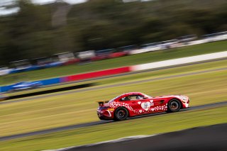#17 - Love Racing by TSM - Bailey Love - Mercedes-AMG GT4 | | &copy; Jack Martin Photography |