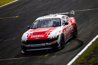 #21 - Ekebol Team MPC - Tony D'Alberto / Jarrod Keyte - Ford Mustang GT4 | | &copy; Jack Martin Photography |