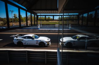 #227 - Multispares Racing - Cameron McLeod - Mason Harvey - Ford Mustang GT4 l &copy; Jack Martin Photography | &copy; Jack Martin Photography