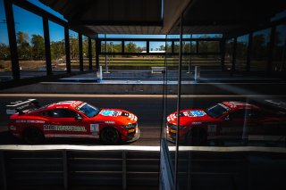 #1 - Gomersall Motorsport - Aaron Seton - Jason Gomersall - Ford Mustang GT4 l &copy; Jack Martin Photography | &copy; Jack Martin Photography