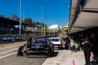 #36 - Gomersall Motorsport - Jake Camilleri - Jake Camilleri - Ford Mustang GT4 l &copy; Jack Martin Photography | &copy; Jack Martin Photography