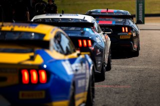 #36 - Gomersall Motorsport - Jake Camilleri - Jake Camilleri - Ford Mustang GT4 l &copy; Jack Martin Photography | &copy; Jack Martin Photography