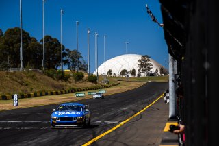 #35 - Miedecke Motorsport with Lubrimaxx - Blake Tracey - George Miedecke - Ford Mustang GT4 l &copy; Jack Martin Photography  | &copy; Jack Martin Photography