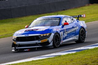 #95 - Miedecke Motorsport with Lubrimaxx - Blake Dowdall - Cooper Cutts - Ford Mustang GT4 l &copy; Jack Martin Photography | &copy; Jack Martin Photography