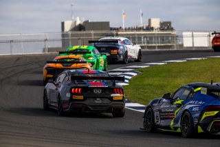 #36 - Gomersall Motorsport - Jake Camilleri - Ford Mustang GT4 l &copy; Jack Martin Photography | &copy; Jack Martin Photography