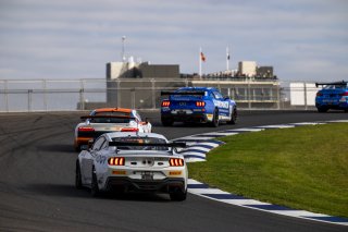#227 - Multispares Racing - Cameron McLeod - Mason Harvey - Ford Mustang GT4 l &copy; Jack Martin Photography | &copy; Jack Martin Photography