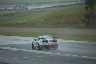 #71 - Gomersall Motorsport - Aaron Seton - Jason Gomersall - Ford Mustang GT4 l © Jack Martin Photography l Jack Martin | GT4 Australia