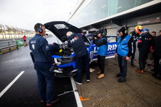 #35 - Miedecke Motorsport with Lubrimaxx - Blake Tracey / George Miedecke - Ford Mustang GT4 | | &copy; Jack Martin Photography |