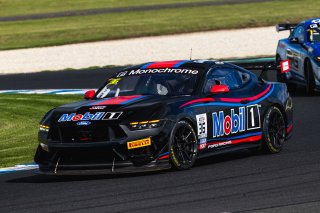 #36 - Gomersall Motorsport - Jake Camilleri - Ford Mustang GT4 | | &copy; Jack Martin Photography |