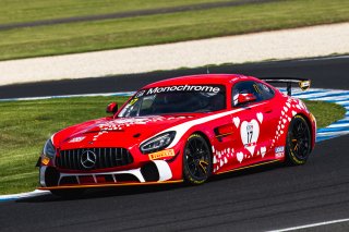 #17 - Love Racing by TSM - Bailey Love / Rob Love - Mercedes-AMG GT4 | | &copy; Jack Martin Photography |